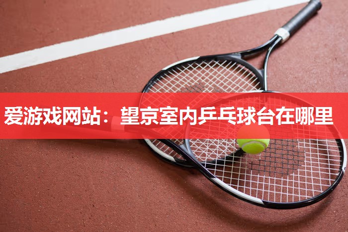 爱游戏网站：望京室内乒乓球台在哪里