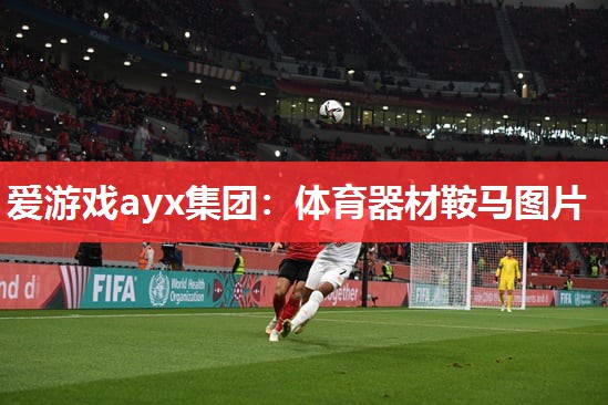 爱游戏ayx集团：体育器材鞍马图片