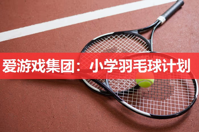 爱游戏集团：小学羽毛球计划
