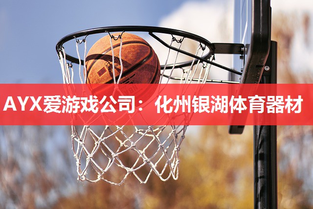 AYX爱游戏公司：化州银湖体育器材