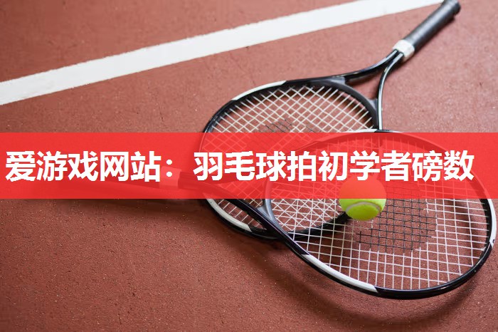 爱游戏网站：羽毛球拍初学者磅数