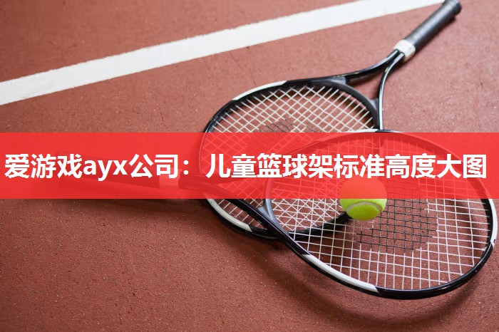 爱游戏ayx公司：儿童篮球架标准高度大图