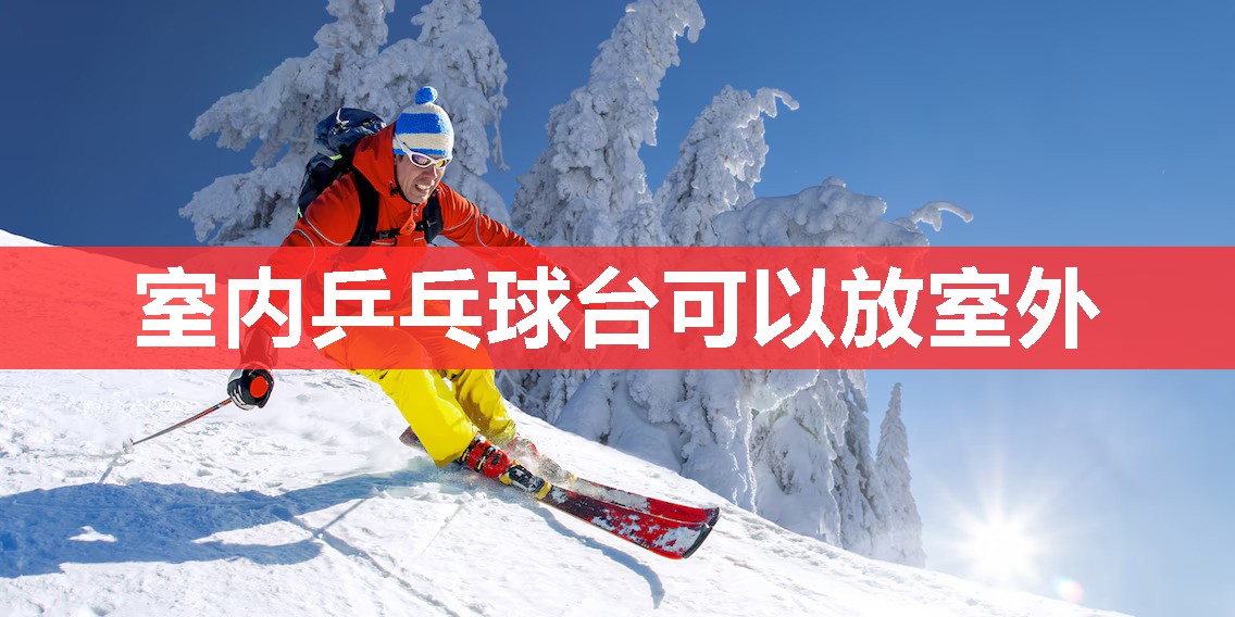 室内乒乓球台可以放室外