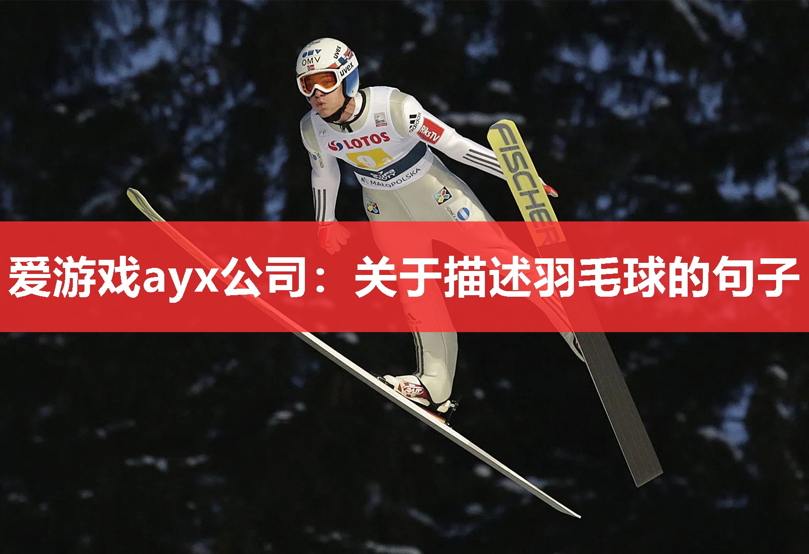 爱游戏ayx公司：关于描述羽毛球的句子