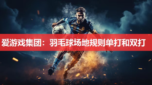 爱游戏集团：羽毛球场地规则单打和双打