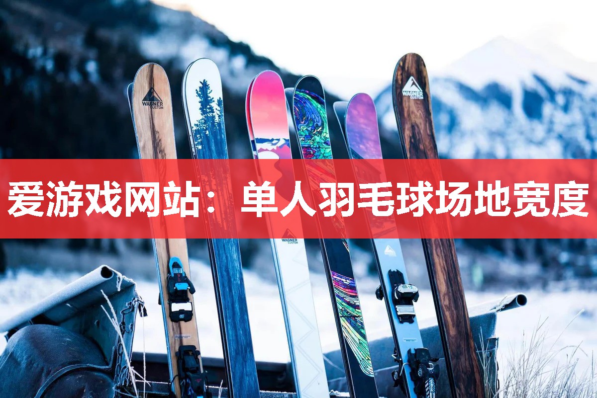 爱游戏网站：单人羽毛球场地宽度