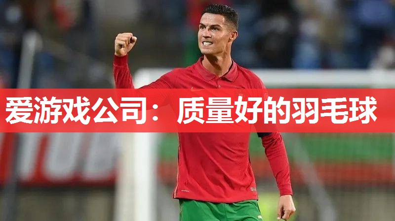爱游戏公司：质量好的羽毛球