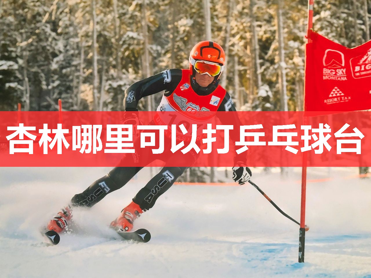 杏林哪里可以打乒乓球台 杏林哪里可以打乒乓球台