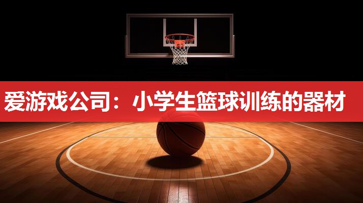 小学生篮球训练的器材 小学生篮球训练的器材
