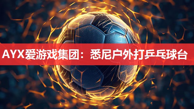悉尼户外打乒乓球台 悉尼户外打乒乓球台