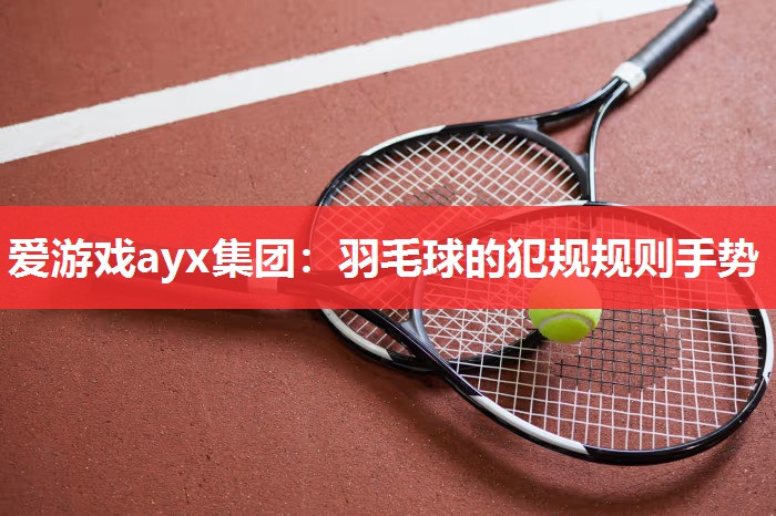 羽毛球的犯规规则手势 羽毛球的犯规规则手势