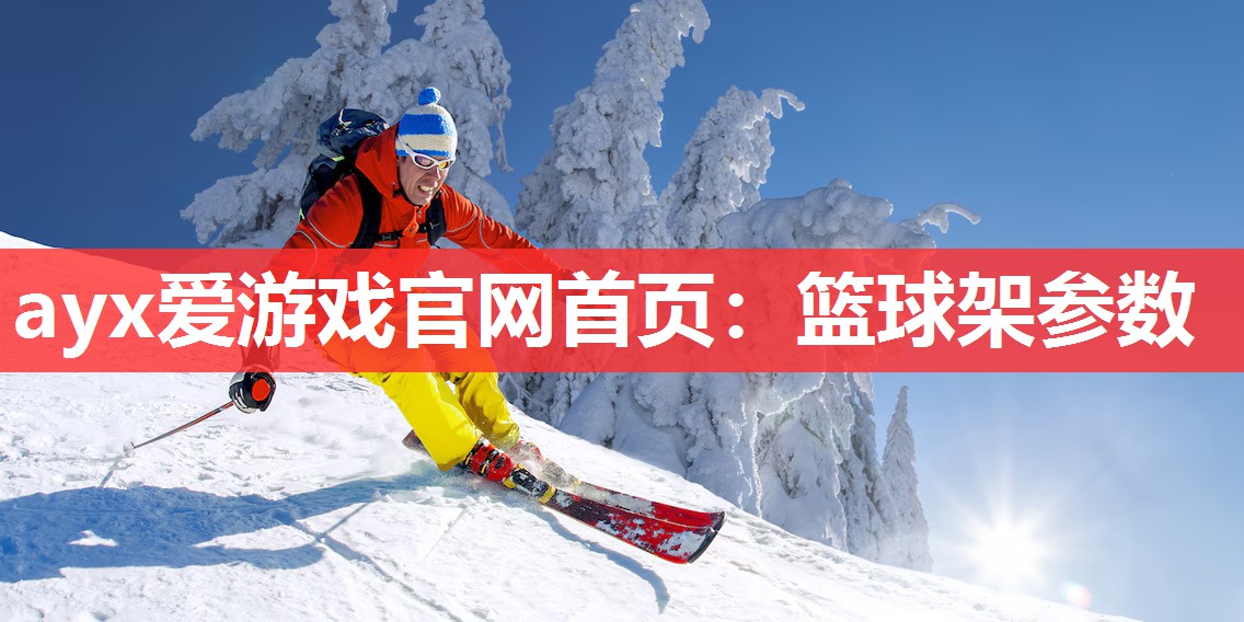 篮球架参数 篮球架参数