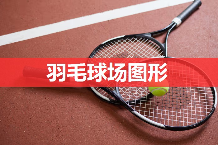 羽毛球场图形 羽毛球场图形