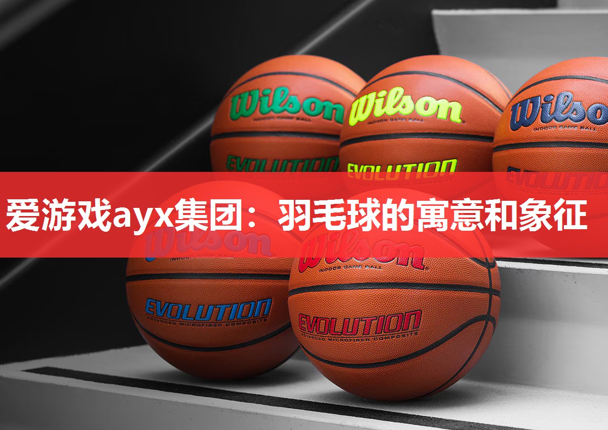 羽毛球的寓意和象征 羽毛球的寓意和象征