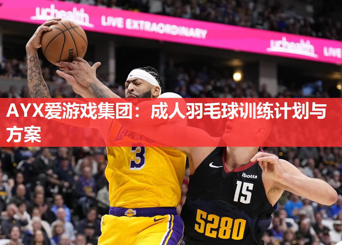 成人羽毛球训练计划与方案 成人羽毛球训练计划与方案