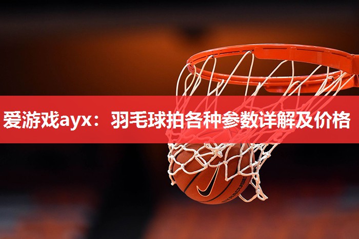 羽毛球拍各种参数详解及价格 羽毛球拍各种参数详解及价格