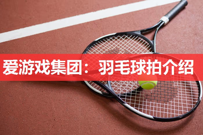 羽毛球拍介绍 羽毛球拍介绍