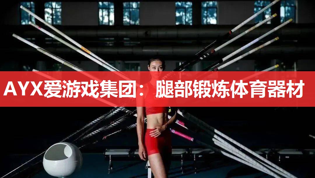 腿部锻炼体育器材 腿部锻炼体育器材